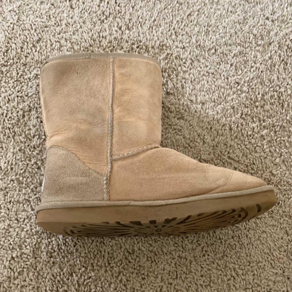 Women’s Classic Short Ugg Boots - Picture 2 of 4